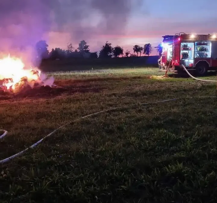 Powalone drzewa na drodze Czarnożyły – Gromadzice. Interweniują strażacy