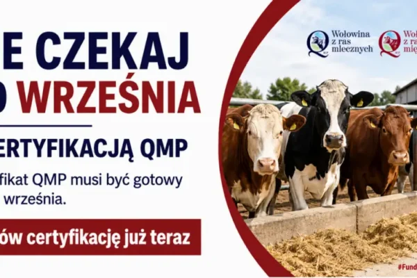 System QMP – gwarancja jakości wołowiny od producenta do konsumenta